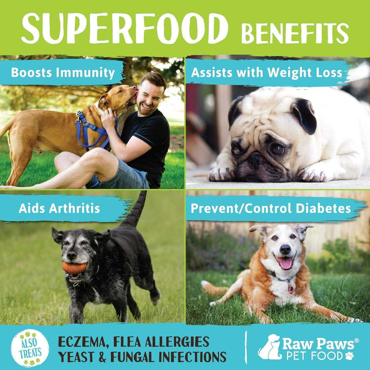 Organic Coconut Oil for Dogs & Cats N70468