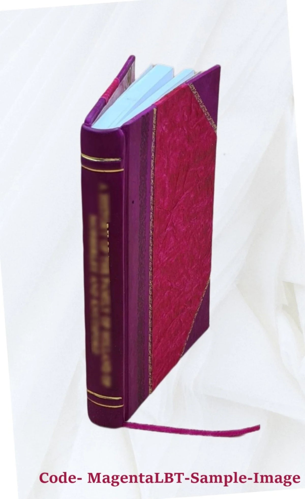 Leather Bound P309