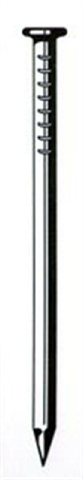 50 lb Bright Smooth Shank Common Nail V346882