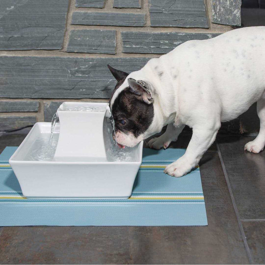 Pet Fountain U101906