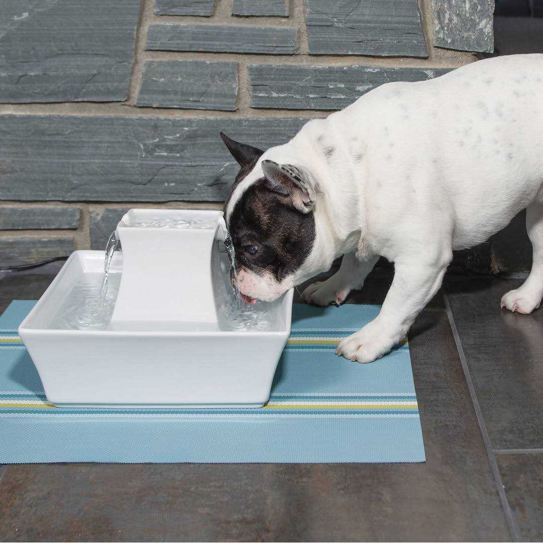 Pet Fountain U101906