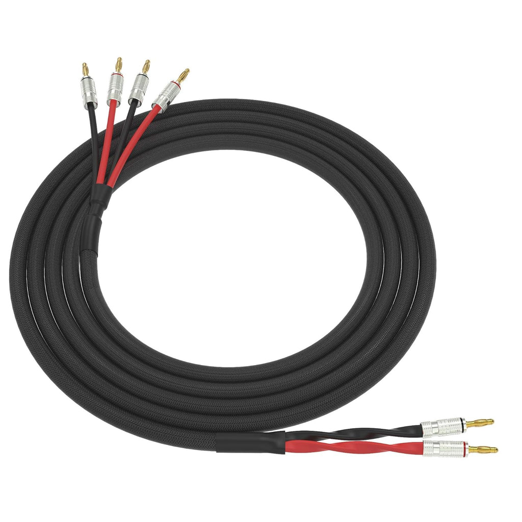 Black 3 Feet Professional Audio Speaker Cable Q24552