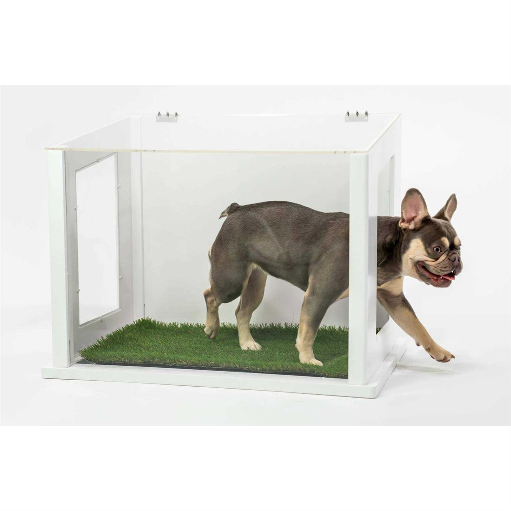 Dog or Cat Potty D73686
