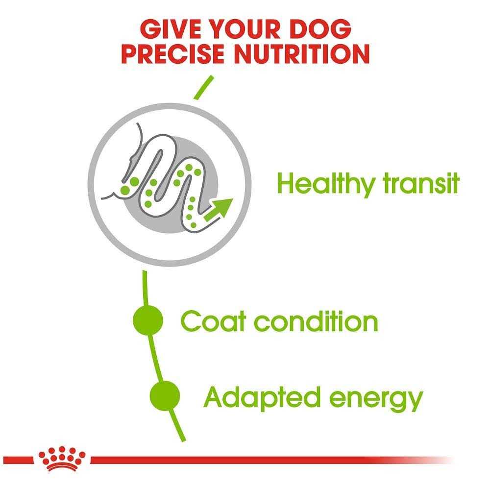 X-Small Adult Dry Dog Food A49505