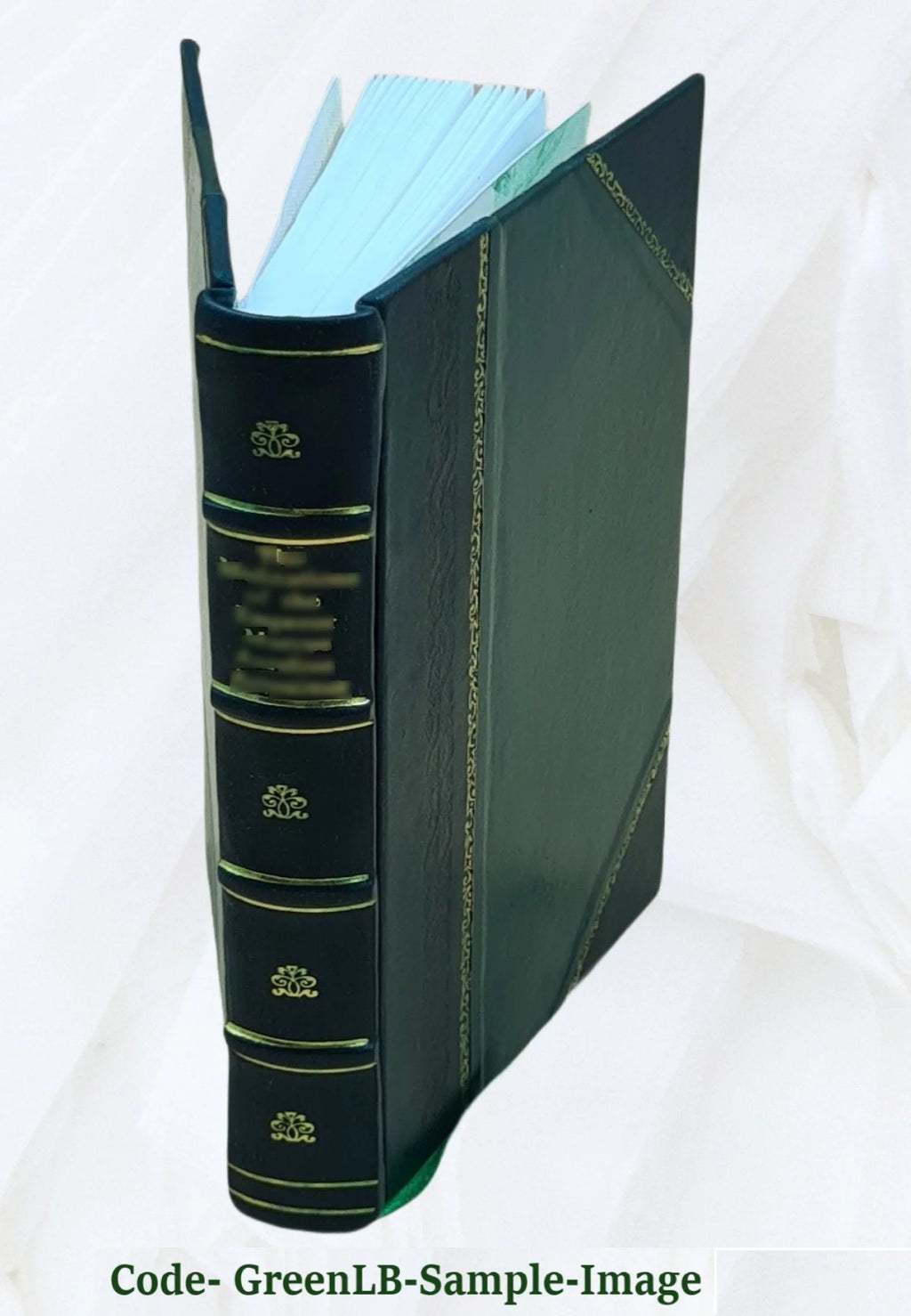 Tableaux Exposes dans la Galerie du Musee Royal Leather Bound F60374