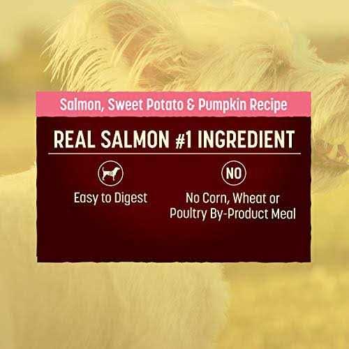 Grain Free Salmon Sweet Potato Dry Dog Food S149