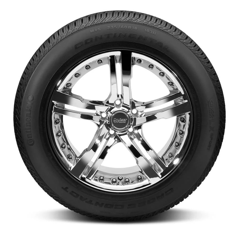 All Season 255/60R19 109H SUV/Crossover Tire U232